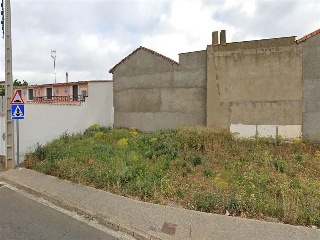 COTORRILLO 4