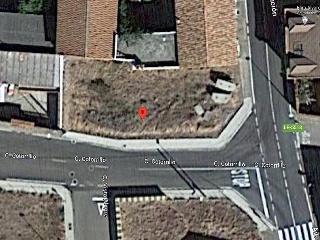 COTORRILLO 6