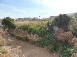 SAN JUAN BAUTISTA 3