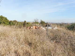 SAN JUAN BAUTISTA 4
