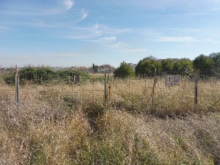 SAN JUAN BAUTISTA 6