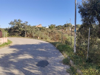 ROMA 6