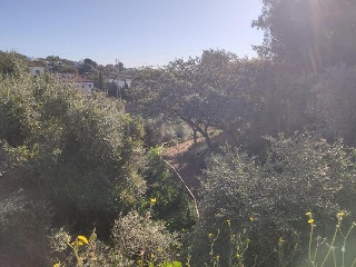 ROMA 12