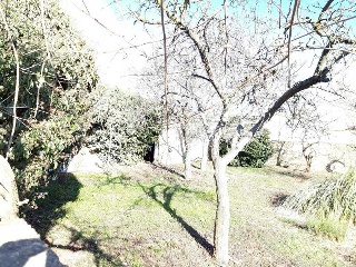SALVADOR MADARIAGA 6