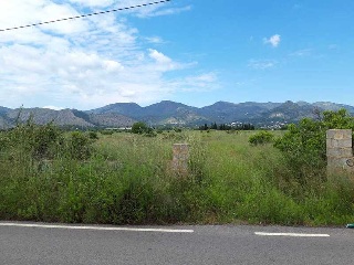 Otros en venta en Benicasim/benicàssim