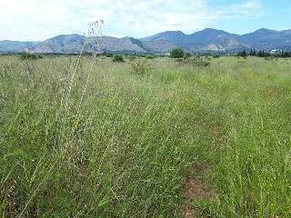 LA PARRETA 2