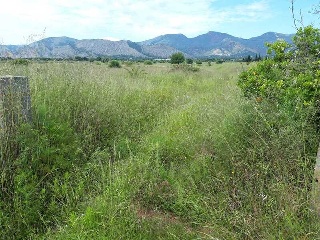 LA PARRETA 4
