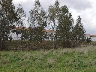 SECTOR UE-40 PADROCHANO DE VARGAS 11