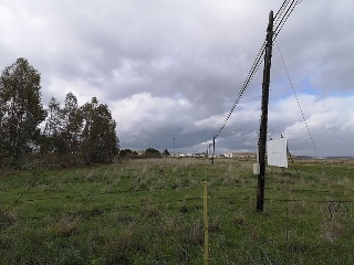 SECTOR UE-40 PADROCHANO DE VARGAS 14