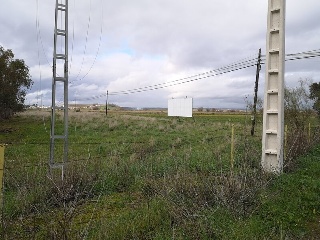 SECTOR UE-40 PADROCHANO DE VARGAS 15