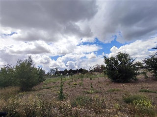LA FLORIDA CR VALLADOLID 40A 6