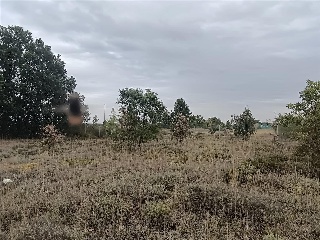 Pisos banco Garrafe de Torío