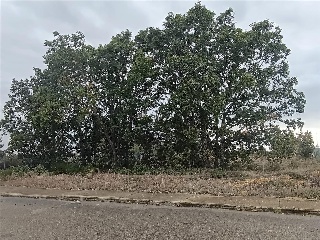 S11, ESTRELLA DE IZAR PARCELA RMAIS/03 5