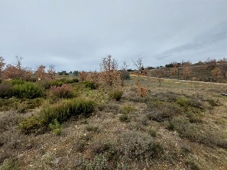 Pisos banco Garrafe de Torío