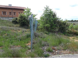 RIO ESLA-UR ESTRELLA IZAR 5