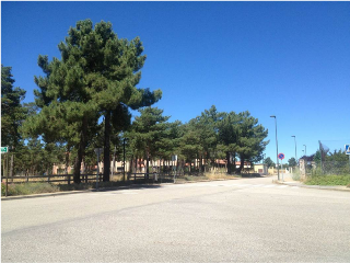 RIO ESLA-UR ESTRELLA IZAR 8