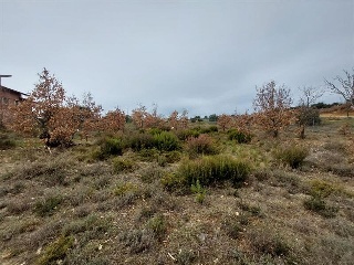 S11, ESTRELLA DE IZAR.PARCELA RMAIS/06 7