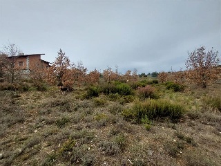 S11, ESTRELLA DE IZAR.PARCELA RMAIS/06 8