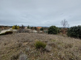 S11, ESTRELLA DE IZAR PARCELA RUADOS/05 2