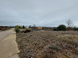 S11, ESTRELLA DE IZAR PARCELA RUADOS/05 5