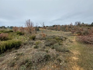 S11, ESTRELLA DE IZAR PARCELA RUADOS/01. Calle Centauro 2