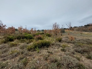 S11, ESTRELLA DE IZAR PARCELA RUADOS/01. Calle Centauro 3