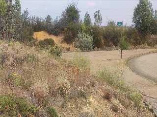 S11, ESTRELLA DE IZAR PARCELA RUADOS/01. Calle Centauro 10