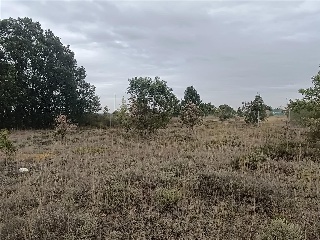 RIO LUNA 4