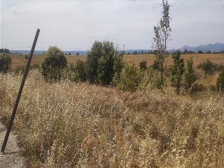 CARMENES 2