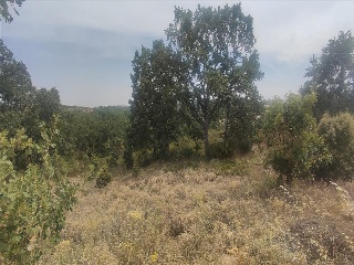 CARMENES 3