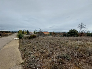 CARMENES 7