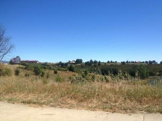 CARMENES 11