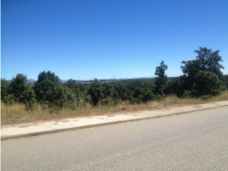 CARMENES 18