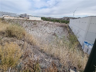 CL. ALBARDIN 3