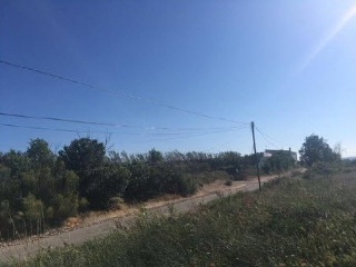 DE LA CANTERA O DEL CAIDERO 2