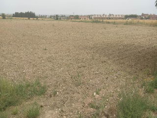 DE LA CANTERA O DEL CAIDERO 3