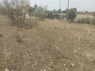 DE LA CANTERA O DEL CAIDERO 17