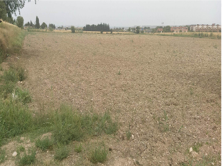 DE LA CANTERA O DEL CAIDERO 19