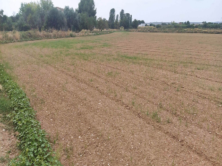 DE LA CANTERA O DEL CAIDERO 20