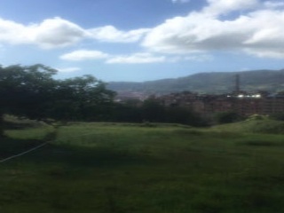 MERCADIN ALTO Polígono 25 Parcela 271 2