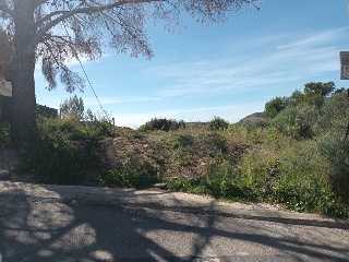 OLIVERA 9