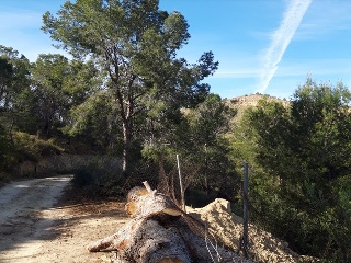 Otros en venta en Villajoyosa/vila Joiosa (la)