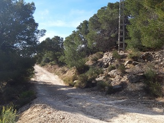 TOSAL AGUILAS-CENTRAL-19 6
