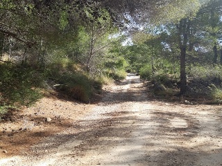 TOSAL AGUILAS-CENTRAL-19 8