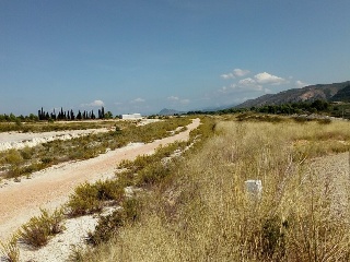 POLIGONO 9 PARCELA 3