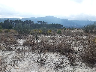 POLIGONO 9 PARCELA 7