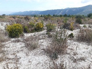 POLIGONO 9 PARCELA 8