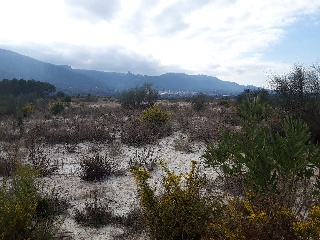 POLIGONO 9 PARCELA 10