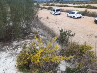 POLIGONO 9 PARCELA 12