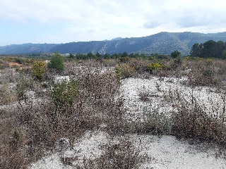 POLIGONO 9 PARCELA 13
